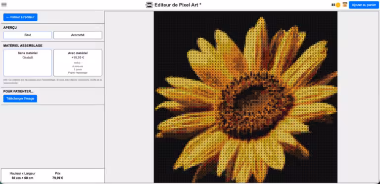 Interface de sélection des options supplémentaires de l'éditeur en ligne