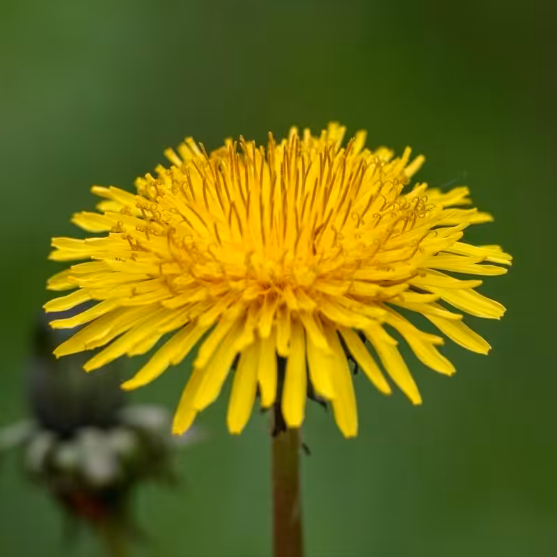 Exemple de photo trop détaillée