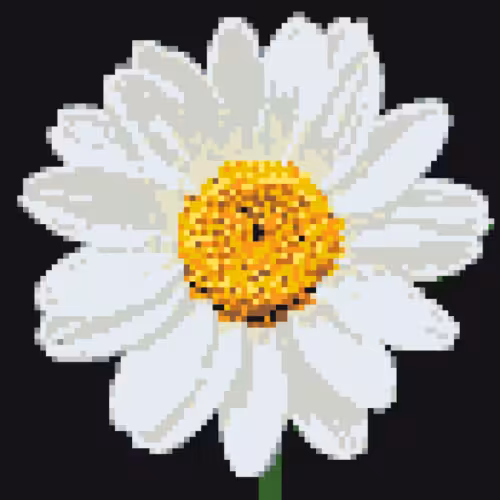 Marguerite en pixel art